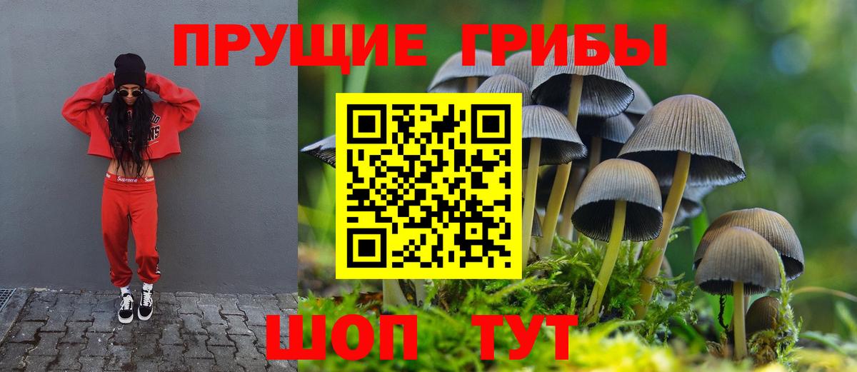Галлюциногенные грибы ЛСД Искитим